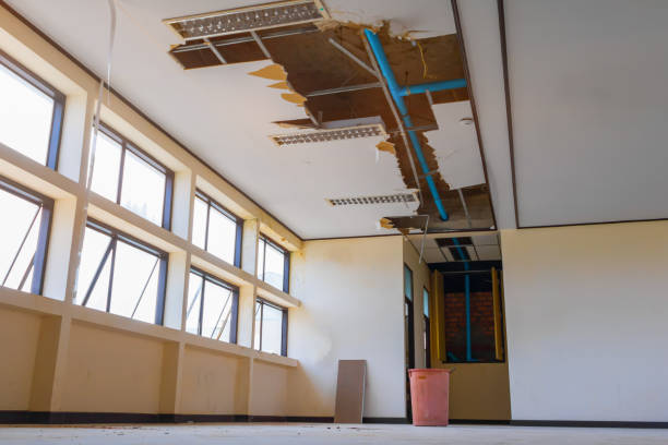 Best Water damage cleanup near me  in Marrero, LA