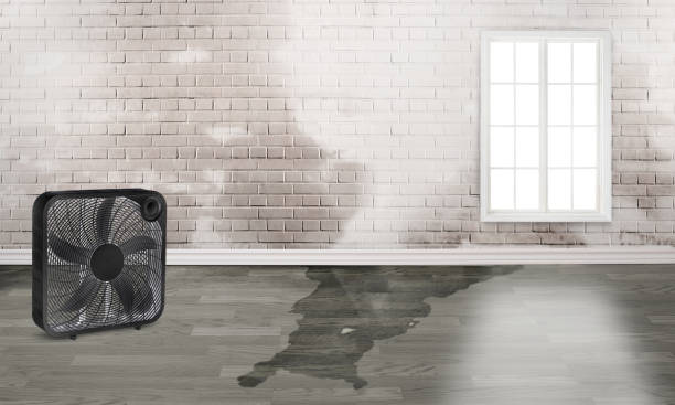 Best Sewage cleanup and water damage restoration  in Marrero, LA
