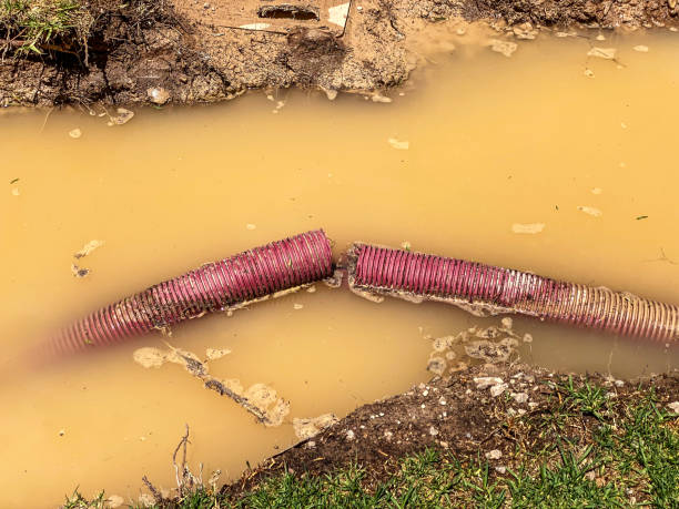 Best Residential water damage restoration  in Marrero, LA