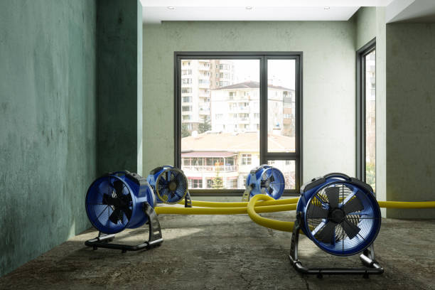 Fire Damage Restoration in LA