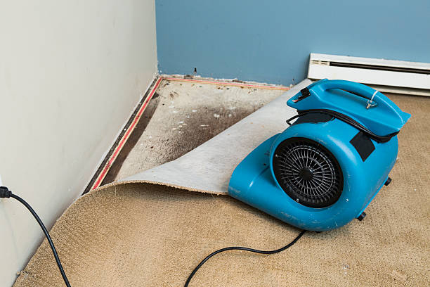 Best Water damage restoration near me  in Marrero, LA